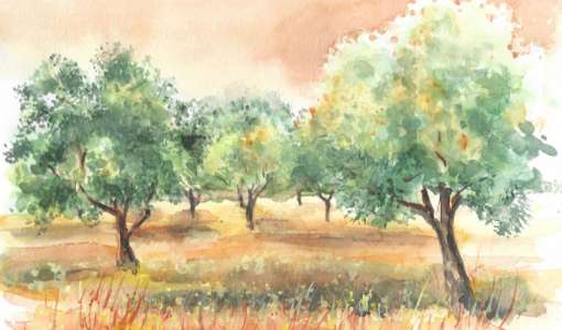 Autumn Sketching Weekend