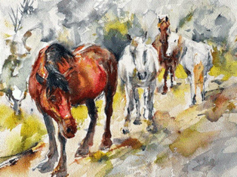 Capture the Spirit of Thessalian Horses
