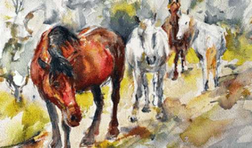 Capture the Spirit of Thessalian Horses