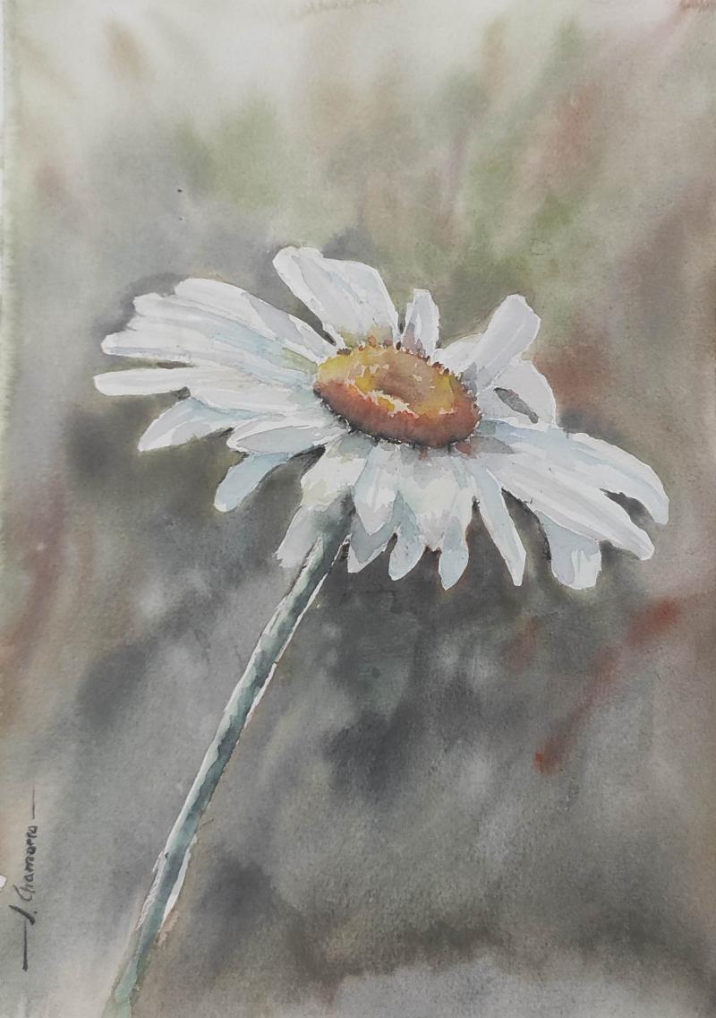 Watercolor painting and yoga holiday in Slovenia, Sinji vrh