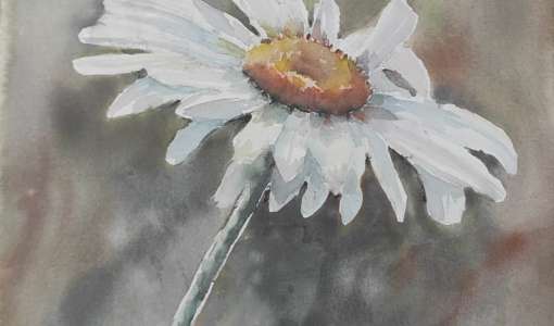 Watercolor painting and yoga holiday in Slovenia, Sinji vrh