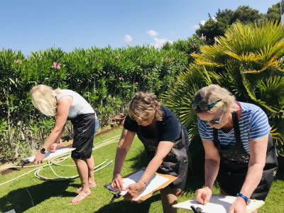 Painting Holidays in Andalusia