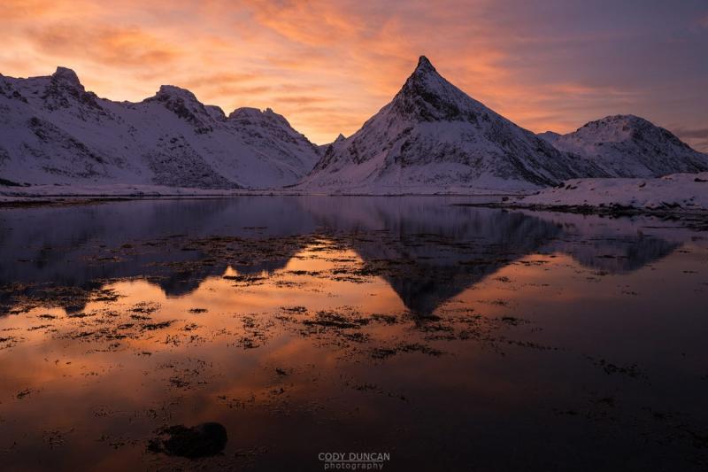 Lofoten Winter Photo Tour: Winter's Dream and breathtaking Polar Lights
