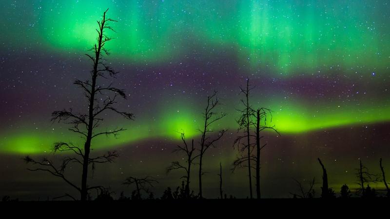 Northern Lights and More - Lofoten Photo Tour