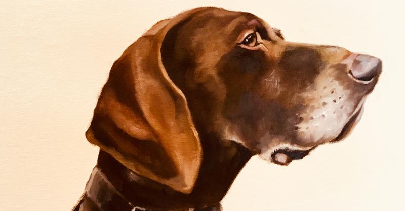 Painting holiday: How to paint animal portraits
