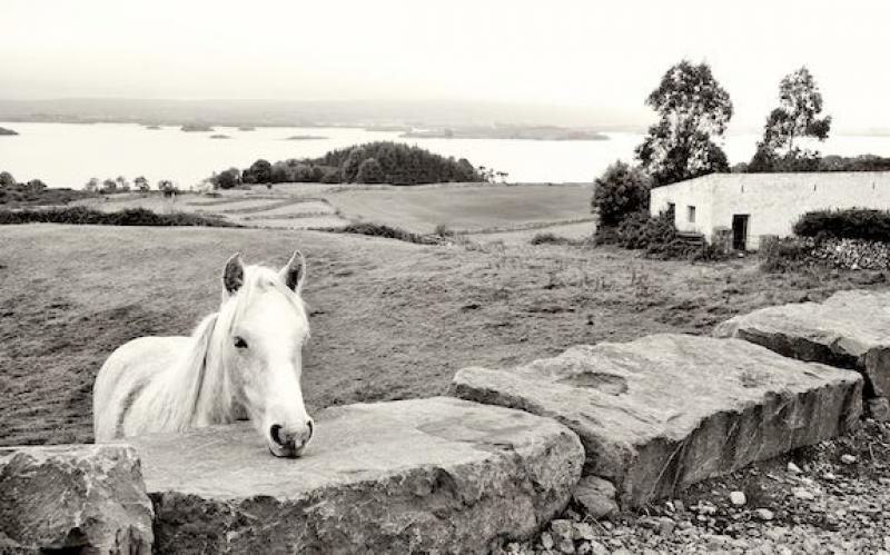 Northern Ireland Photo Tour 