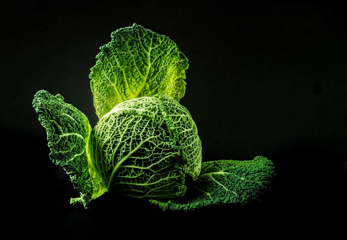 Cabbage Leaf Pixabay.jpg